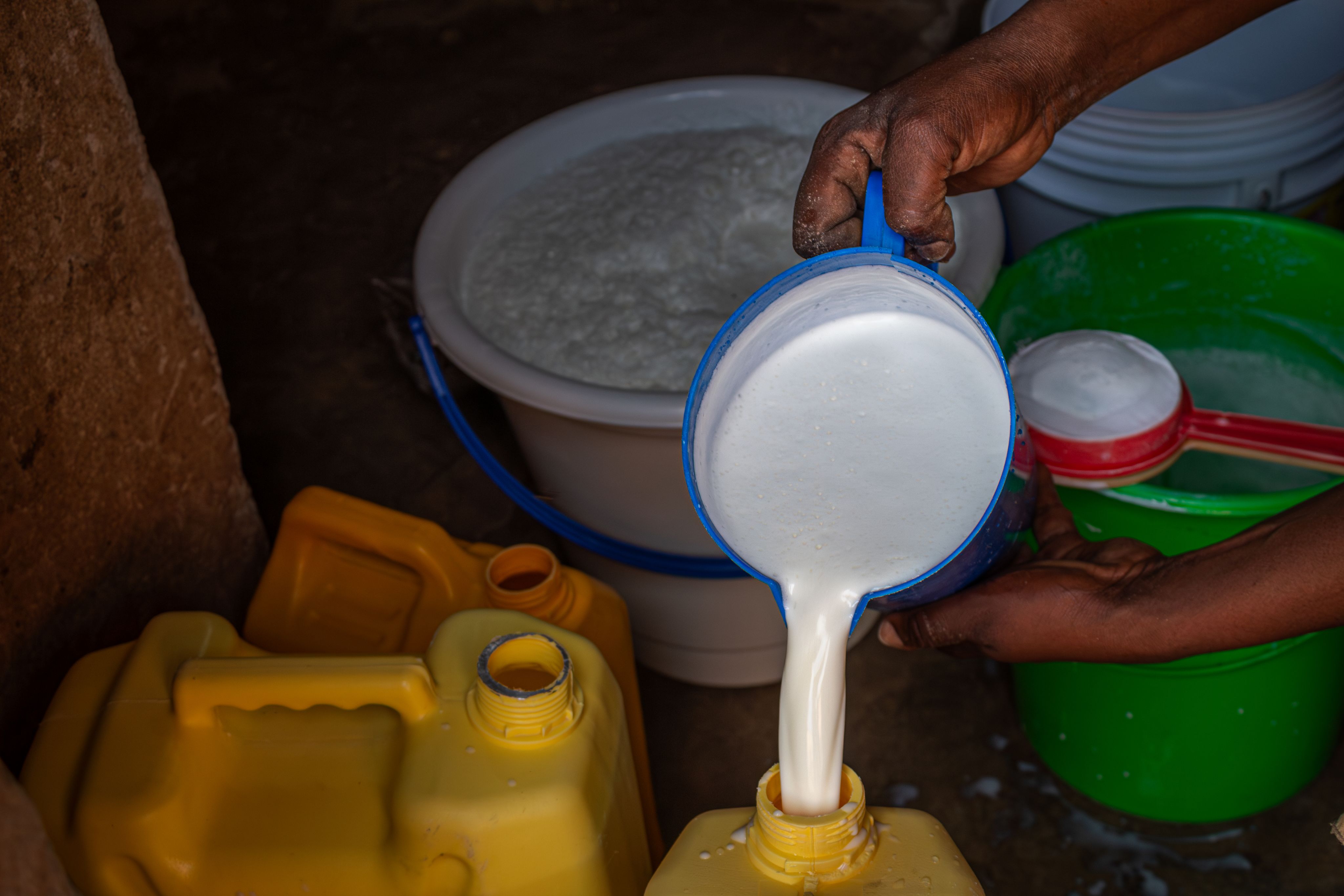 Celine filters milk into jerry cans for resale on February 6 2024.