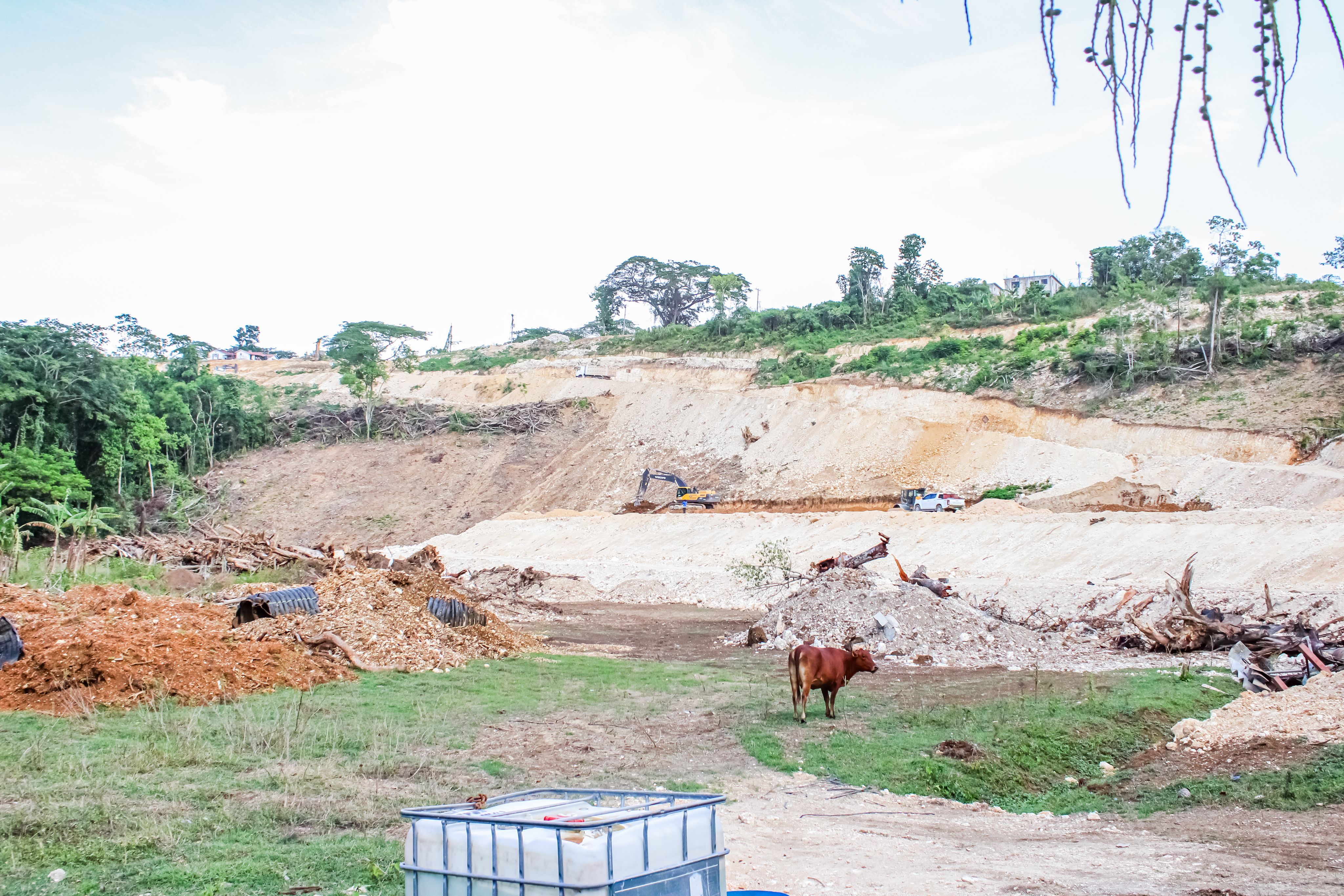 A cow grazes on the backdrop of the ongoing development of the new nearby highway, and its impact on the river and nearby community.