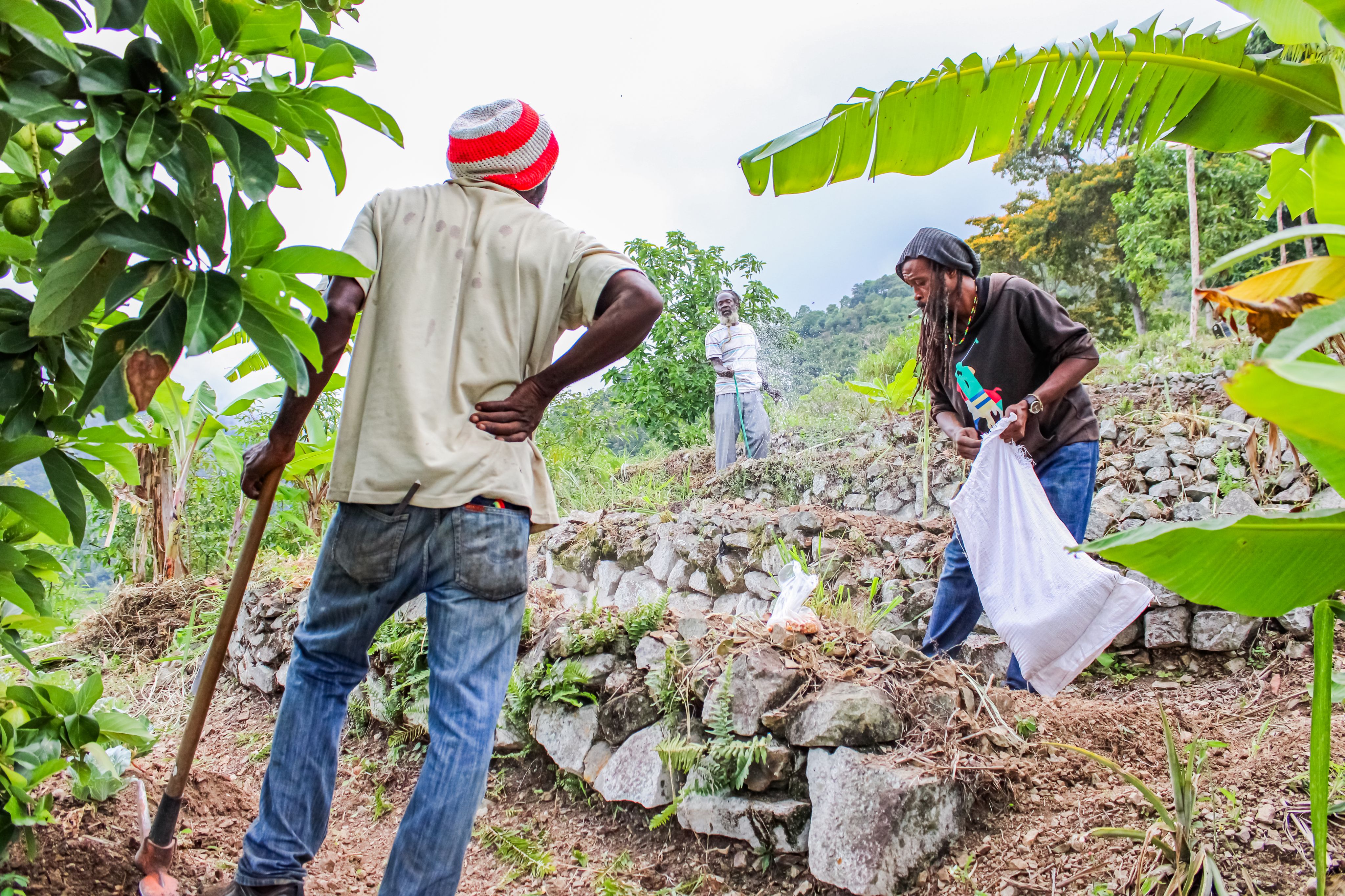 School of Vision founder Dermot and two other resident farmers are seen working on their community farm, a key source of food for this off grid community.